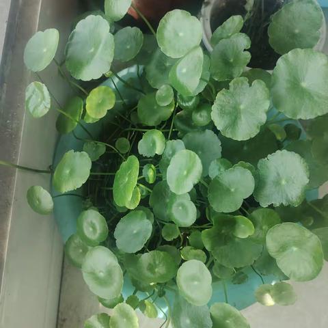 人生一路在前行，一路在失去！