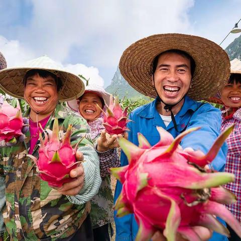 脱贫攻坚收官，胜利回归覃高