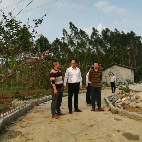 覃塘区委常委、组织部部长罗建勇到蒙公镇英峨村调研乡村风貌示范带工作
