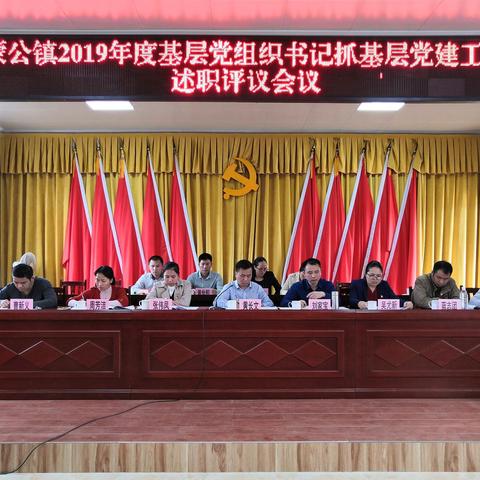 蒙公镇2019年度基层党组织书记抓基层党建工作述职评议