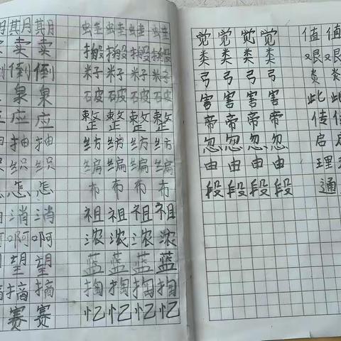 抄写生字，生字表注音，默写古诗和日积月累