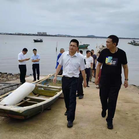 陈景进副市长现场调研违规占用砂质岸线分类处置工作进展情况