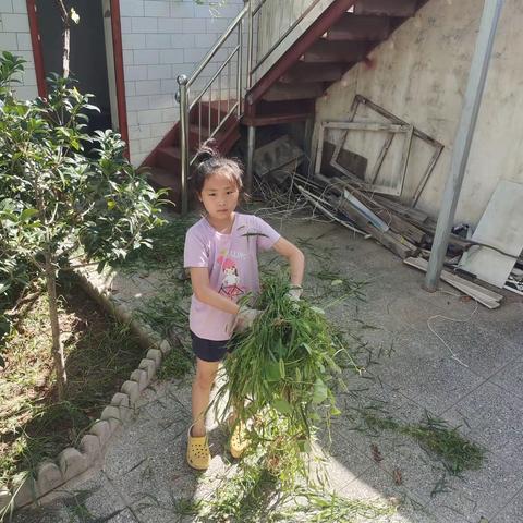 缤纷假日、七彩童年 一 一灵宝市第六小学﻿实践作业展示（三年级）