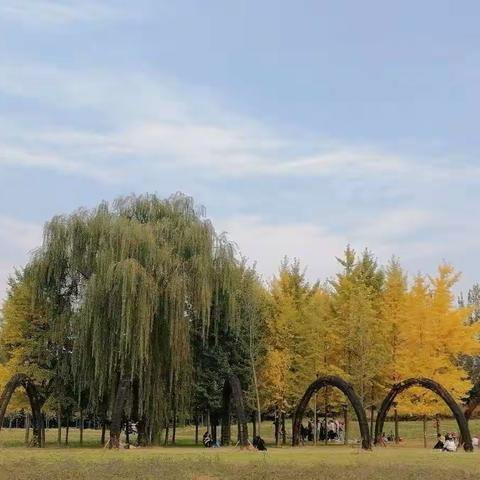 秋日私语——宝鸡植物园