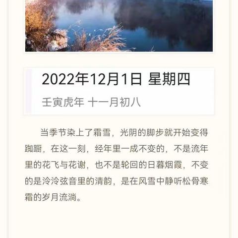 再见2022（十二月礼赞）