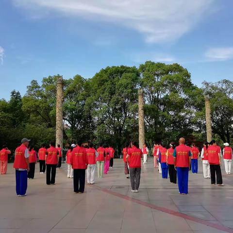 学习《帕友方》《降压方》