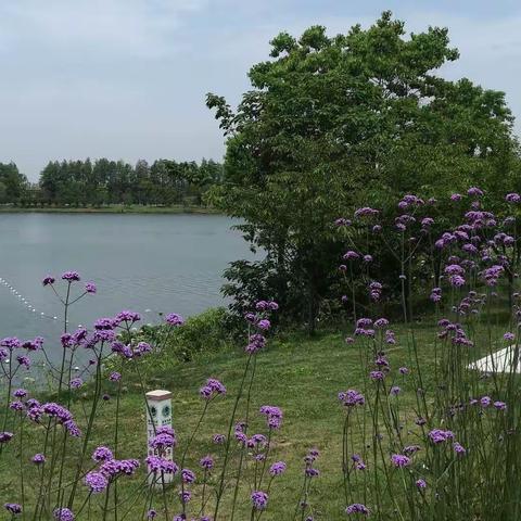 硚口区本周“门前三包”工作动态