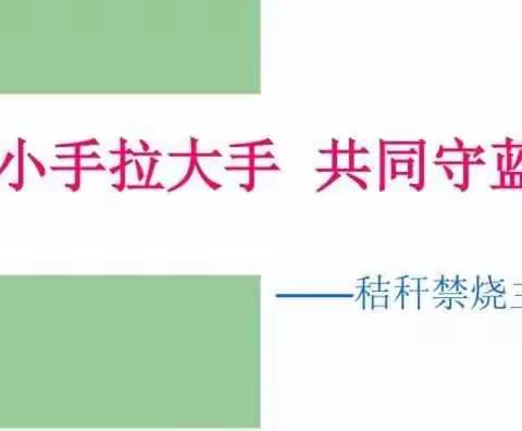 梁山县小安山镇第二中心小学开展“小手拉大手，共同守蓝天”——主题活动