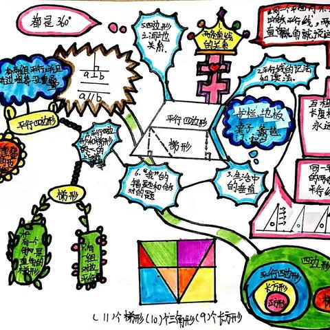 绘制思维导图   梳理数学知识