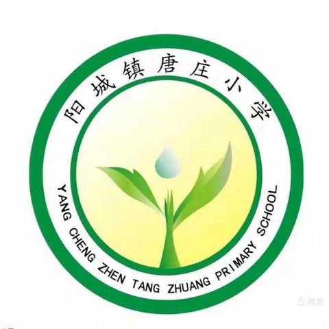 我是小讲师，人人可为师—唐庄小学金牌小讲师评选活动