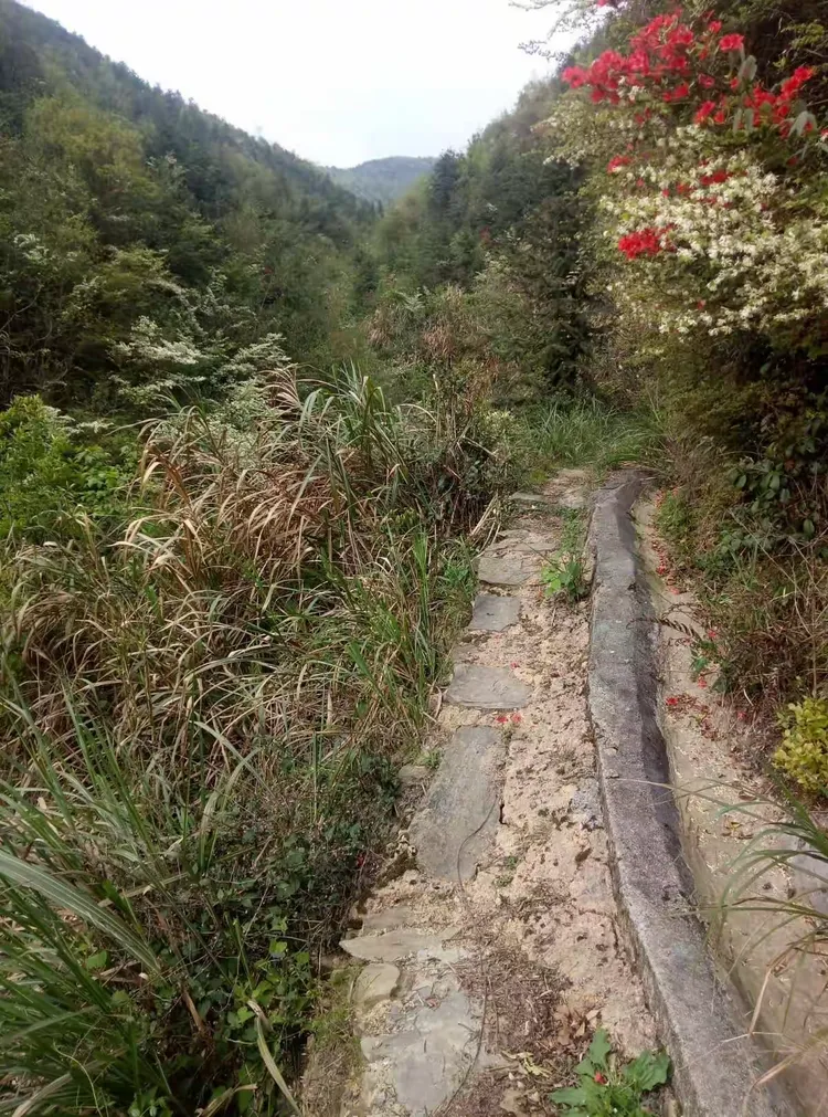 山间小路