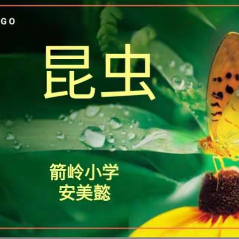 【复兴教研】复兴区"线上资源包"小学科学三年级下第五课《昆虫》