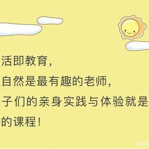 童星幼儿园农场体验之——花生乐（拔花生、摘花生）