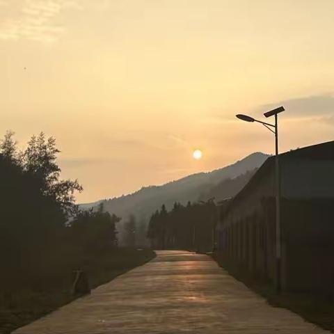 十五的落日