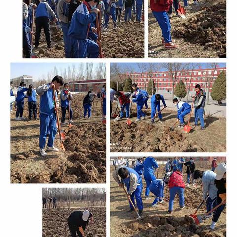 爱劳动      爱生活----八四班劳动实践课