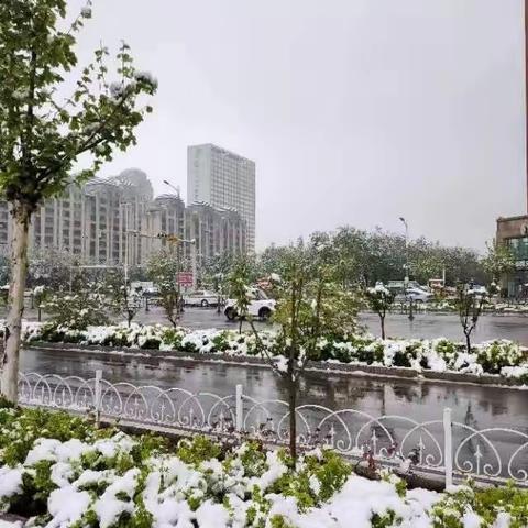 四月的雪
