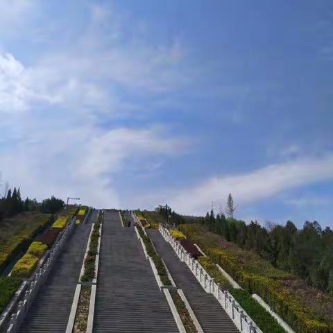 风景这边独好