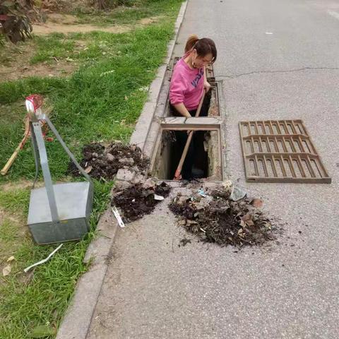 春光山色高层4月份简报