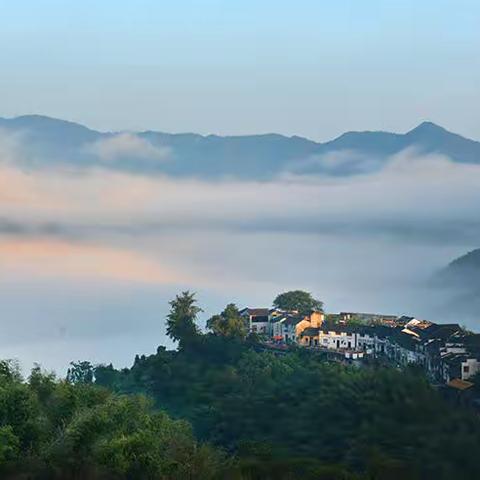 养在深闺人未识