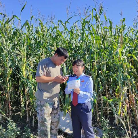 突泉县税务局采取“5+”模式推动社保费征缴工作走深走实