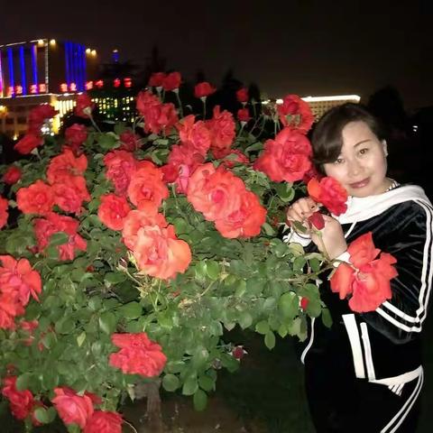 花园里的夜景，是多么的诱人啊!