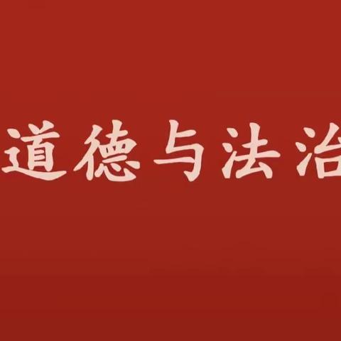 上好思政课，做好引路人——曲梁小学新思政课建设暨道德与法治学科教学研讨会学习纪时