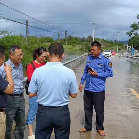 万宁市交通运输局迎“汛”而上，全力保障公路畅通