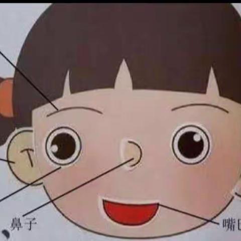 都匀康贝幼儿园安全教育活动——如何保护五官