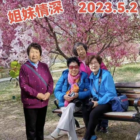 四姐妹情缘相聚在一起2023.5.3