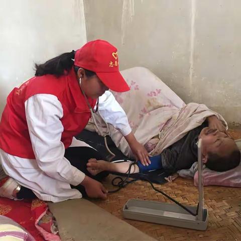 志愿服务在行动