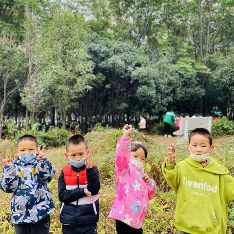 幸福回望共赴美好巴学园音乐森林幼儿园玉兰班2022秋期工作回顾