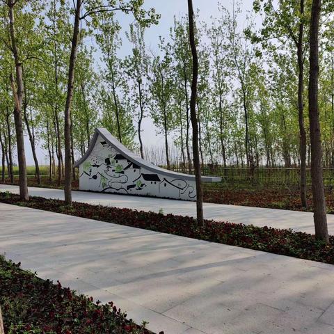 4日中旬的江苏兴化市李中油菜花和水上森林公园