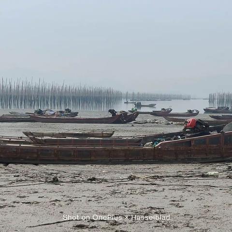 霞浦风光
