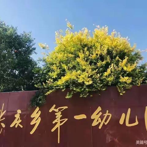 张庆乡第一幼儿园“科学衔接 助力成长”在行动