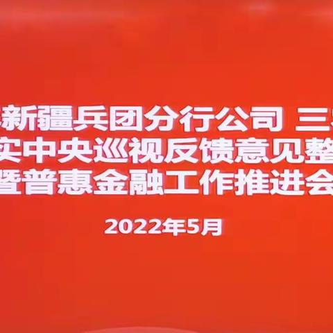 新疆兵团分行召开公司、三农、普惠领域落实中央巡视反馈意见整改工作暨普惠金融工作推进会