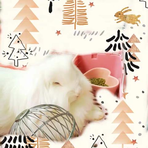 ‘小布丁’挨揍了！