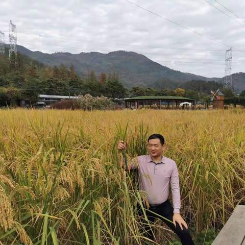 助力乡村振兴—城西街道市人大代表圆梦“禾下乘凉”