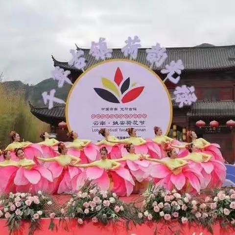荷城“三献”志愿服务真情暖心，游客赞不绝口倍感宾至如归