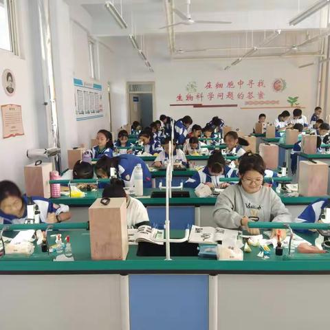 齐鲁中学初一生物实验