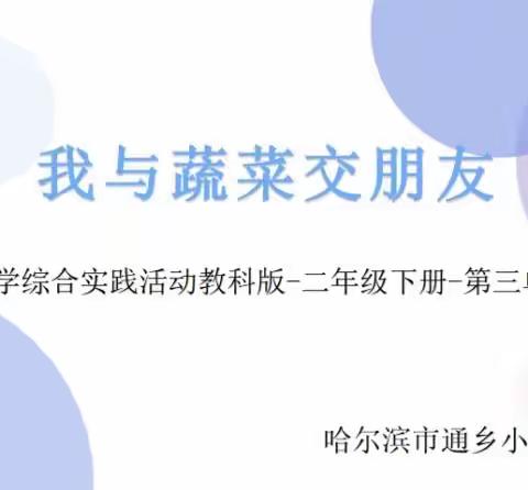 我是居家小能手                                               ——我与蔬菜交朋友