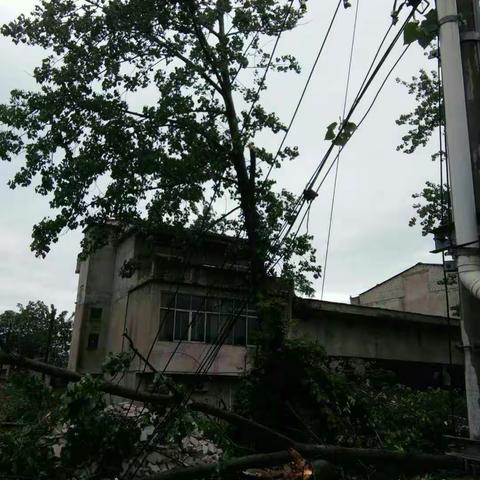 2018年5月6日刘河镇民政办暴风雨灾情简报