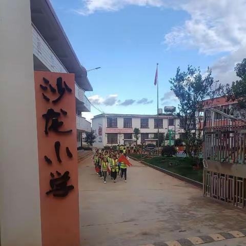 观秋菊绽放，迎学子归来