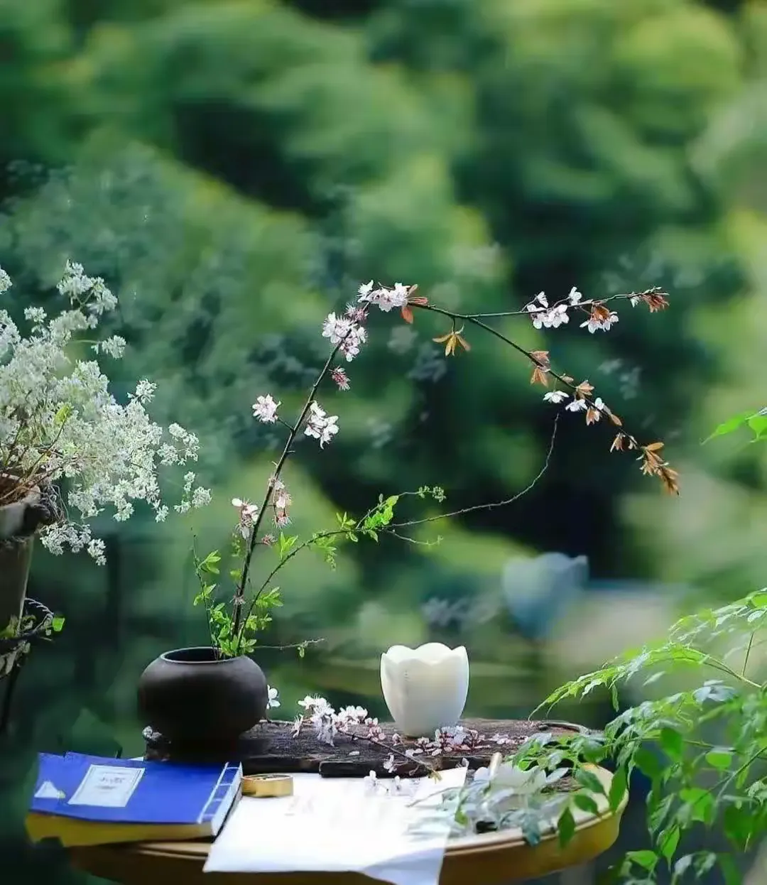 简篇-季节很美,岁月很美,人生也很美
