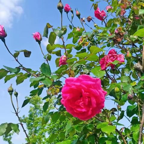 季节很美，岁月很美，人生也很美