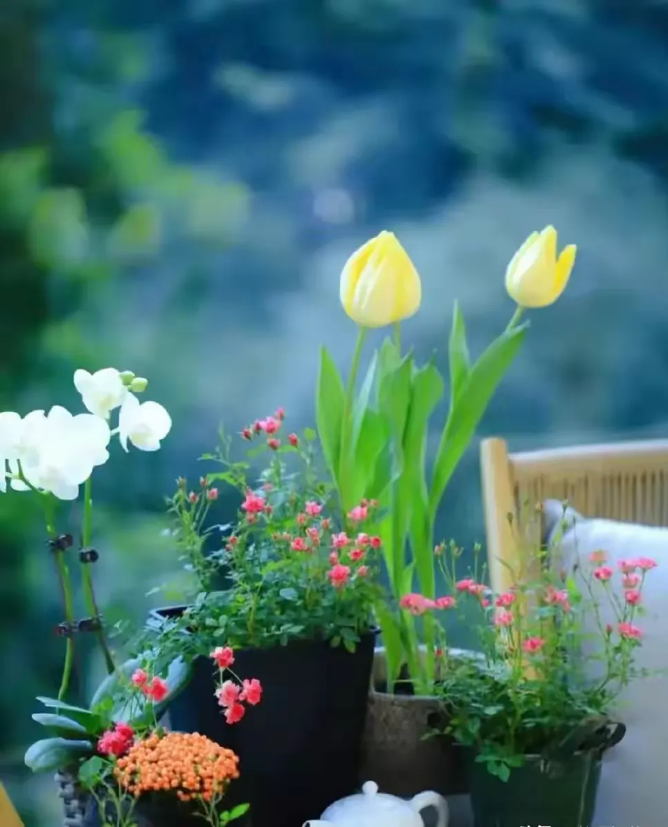 简篇-季节很美,岁月很美,人生也很美