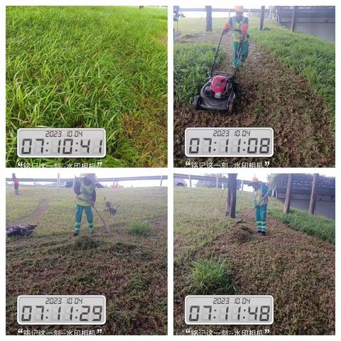 【107国道】2023年10月4日绿化日记