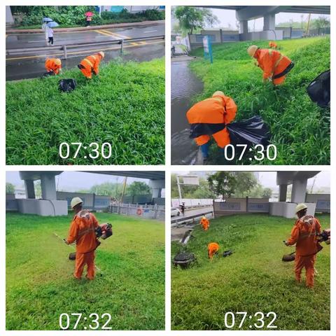 【107国道】2023年10月9日绿化日记