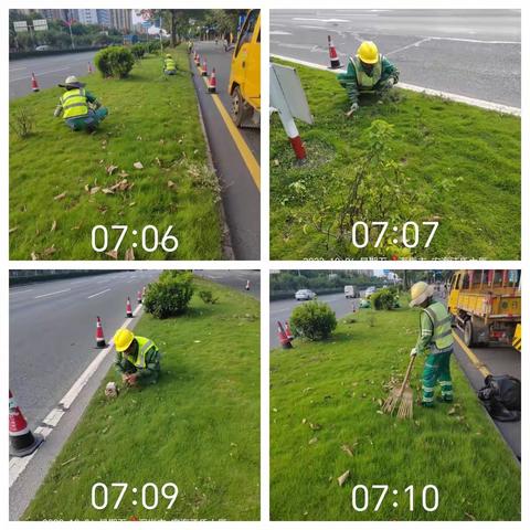 【107国道】2023年10月6日绿化日记