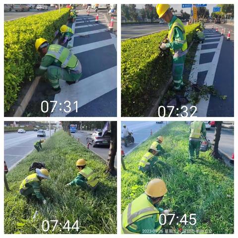 （107国道）2023年9月26日绿化日记