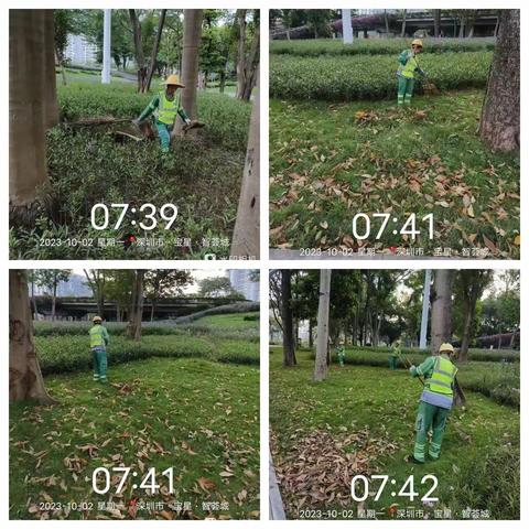 【107国道】2023年10月2日绿化日记